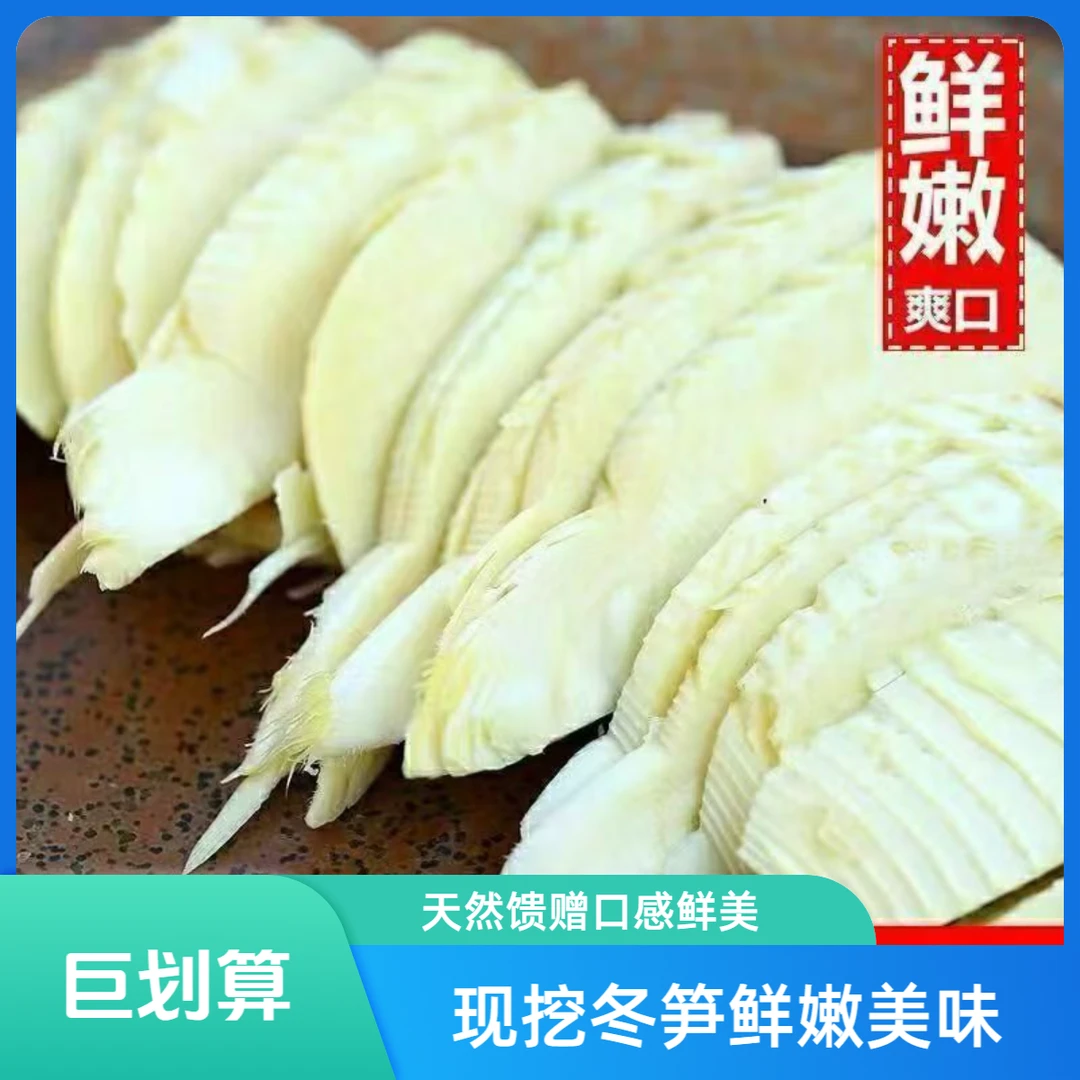 【现挖冬笋】现挖新鲜出土冬笋精选顶级嫩笋尖自然馈赠鲜美无比