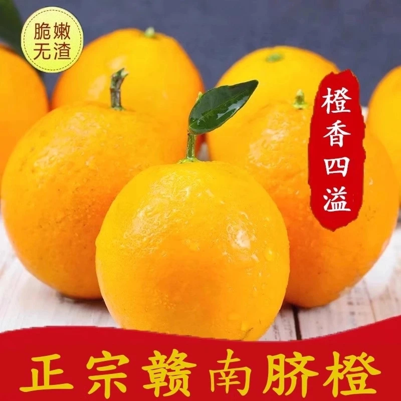 赣南脐橙正宗江西富硒新鲜橙子皮薄时令现摘生鲜橙子水果