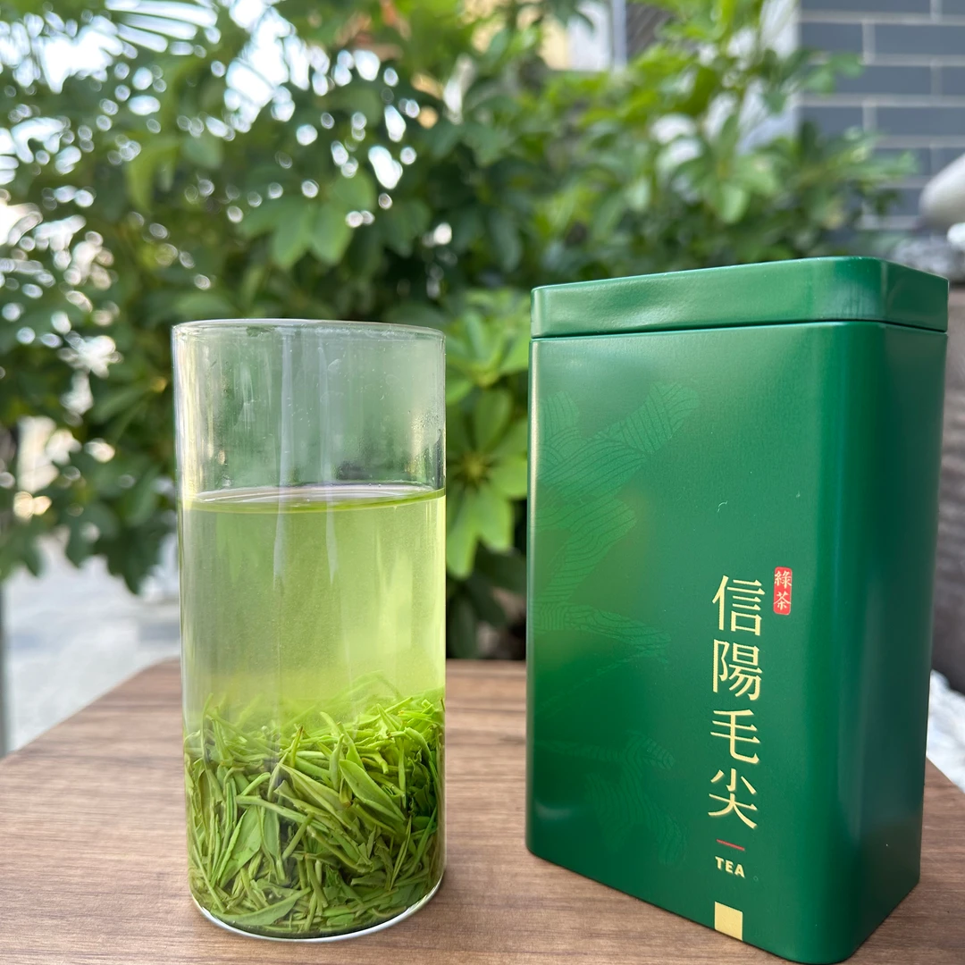 信阳毛尖2025新茶中芽嫩芽绿茶正宗毛尖浓香高山精选春茶新鲜好茶