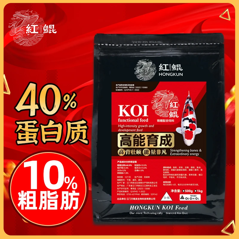 红鲲正品高能育成锦鲤鱼观赏鱼专用锦鲤观赏鱼