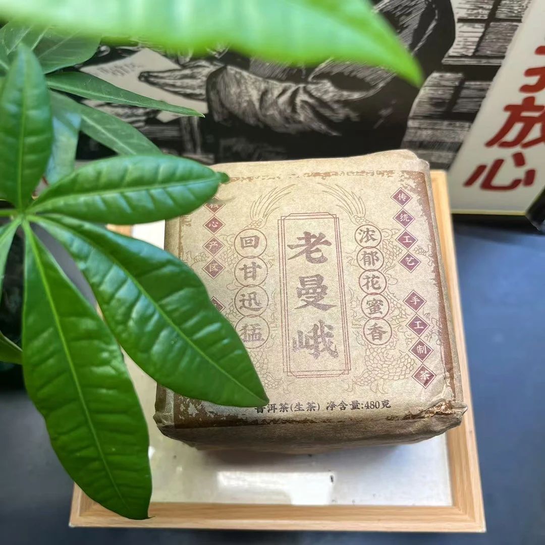 2009年云南普洱茶老曼峨生茶480g/沱