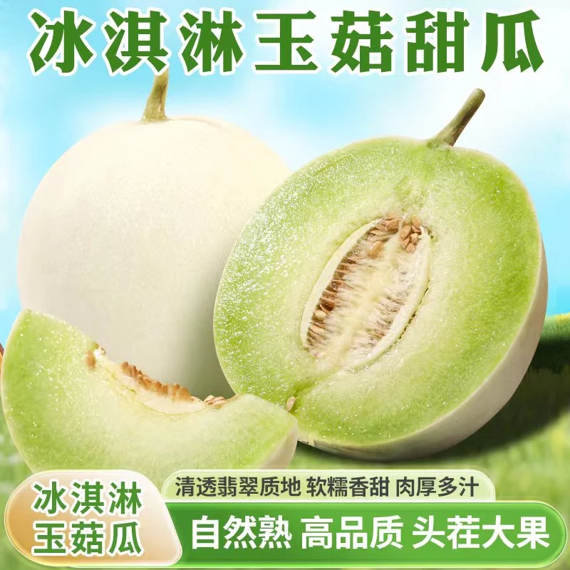 [百食谱农场]玉菇甜瓜（冰激凌甜瓜）软糯香甜新鲜采摘时令水果甜瓜