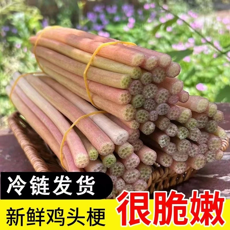 鸡头梗新鲜湖北农家菜洪湖特产蔬菜非藕尖芡实梗刺梗生吃凉拌菜