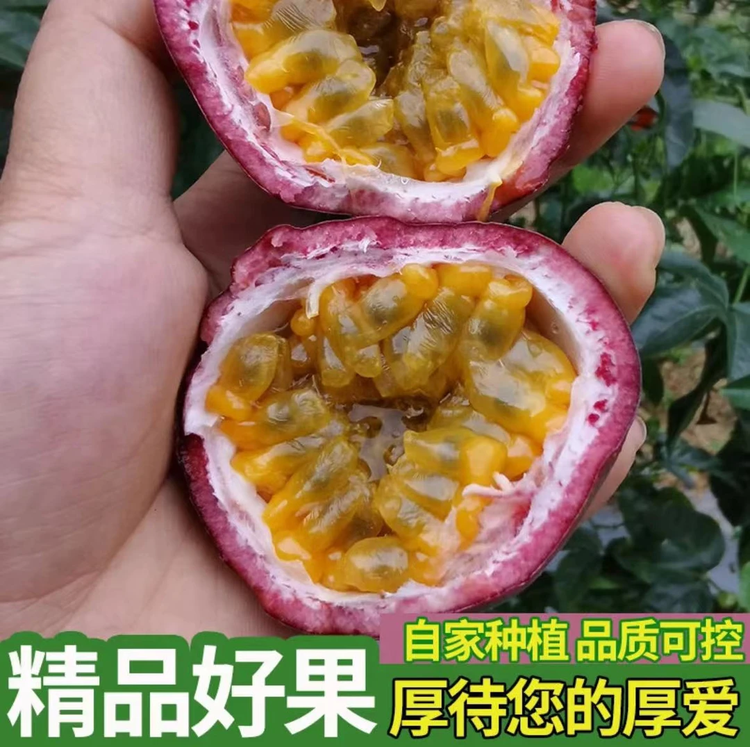 高山百香果新鲜现摘大红果紫皮大果现摘酸甜1/2/3/5/9斤云南包邮
