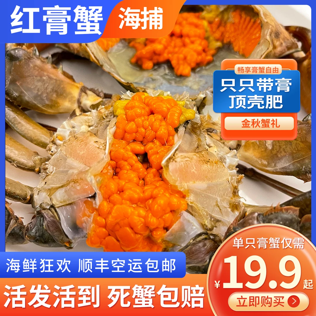 海岛姑娘红树林红膏蟹 活发活到坏损包赔 带膏带黄顶壳肥顺丰包邮