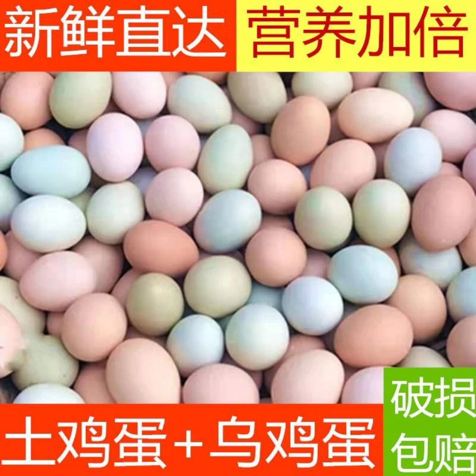 【新店亏本】新鲜绿壳乌鸡蛋农家散养现捡土鸡蛋初生蛋混合装多规
