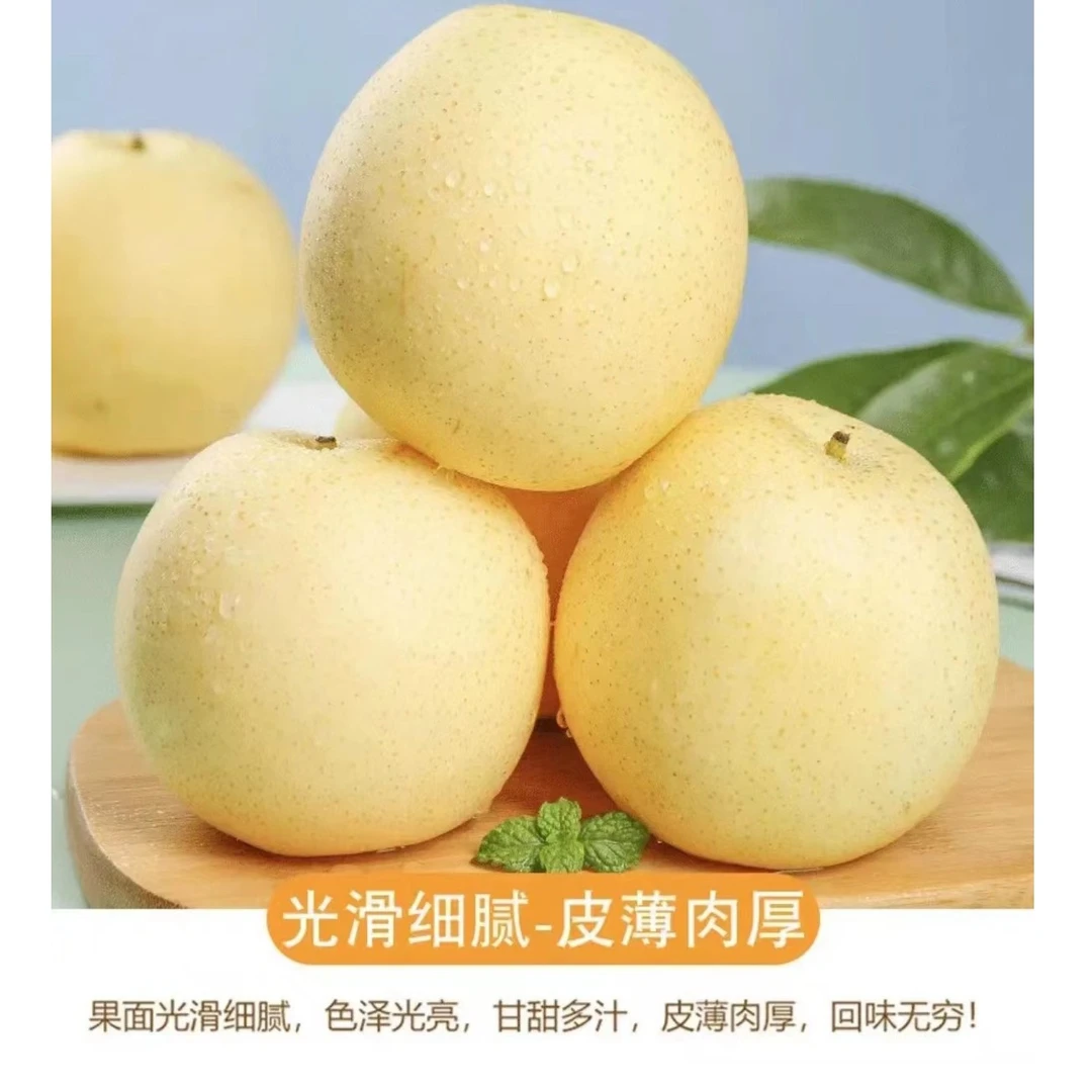 酵素黄金梨-A级八斤绿色清香口感