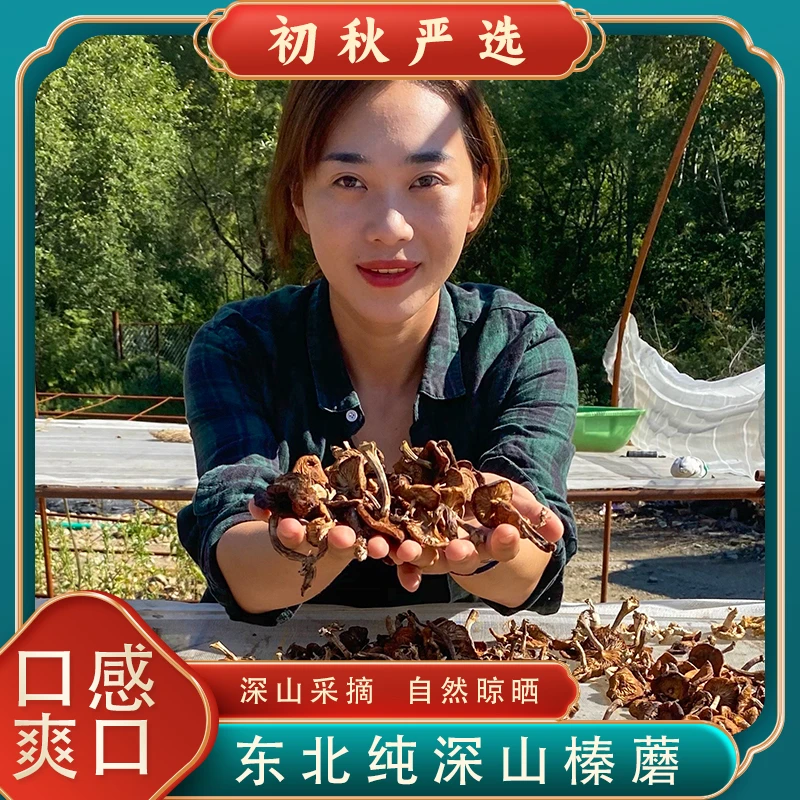 2025新货大自然馈赠林下干榛蘑半斤/一斤