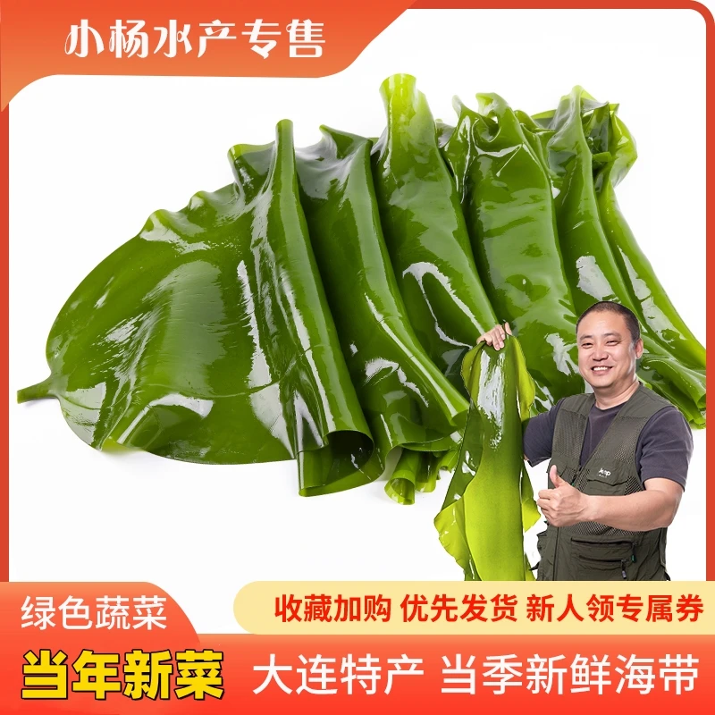 大连新鲜干净盐渍海带【净重4.5斤】凉拌煲汤火锅包饭打扣炖菜海带
