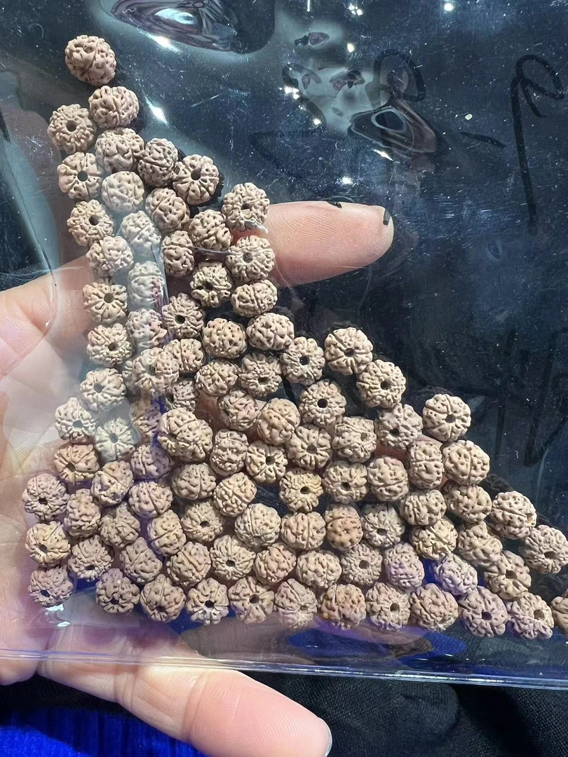 小金刚散籽 随机发