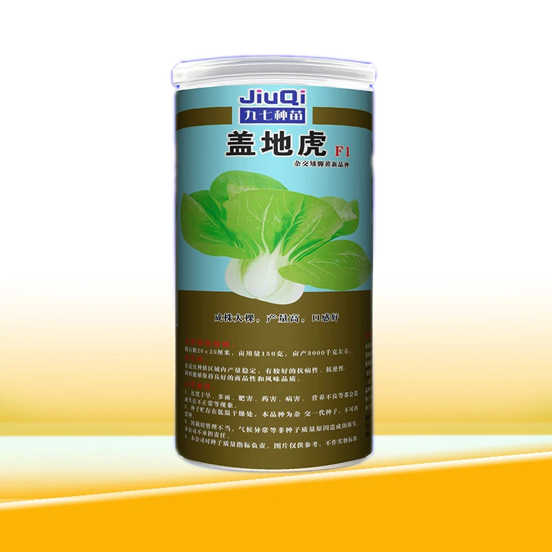 盖地虎杂交矮脚黄奶白菜蔬菜基地种植专业菜农秋冬主栽品种种子