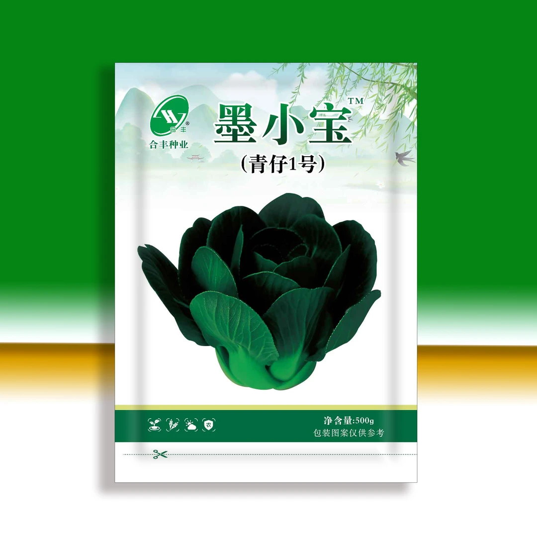 墨小宝小青仔特矮精品小黑菜矮脚青蔬菜基地品质秋冬季种植口感好