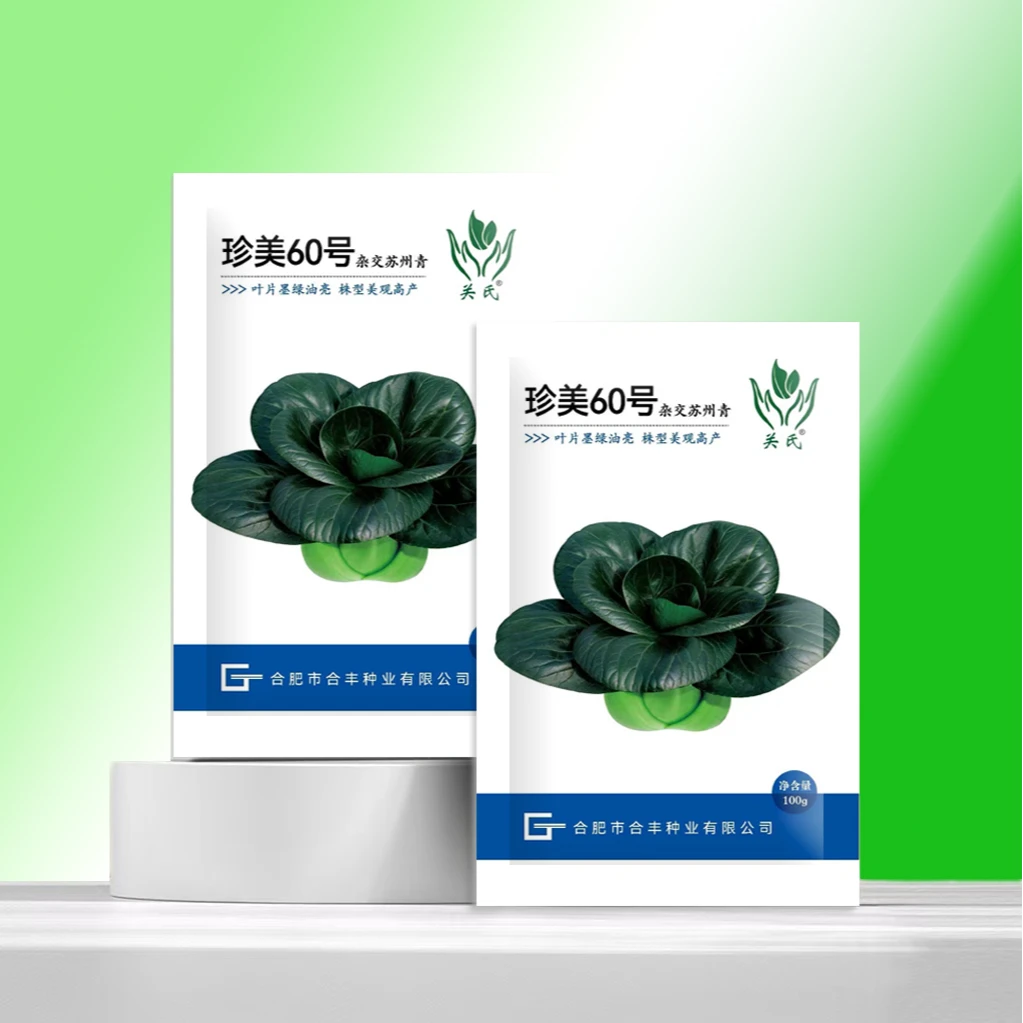 珍美60号黑叶耐寒矮脚苏州青种子秋冬季节露地或大棚种植甜糯高产