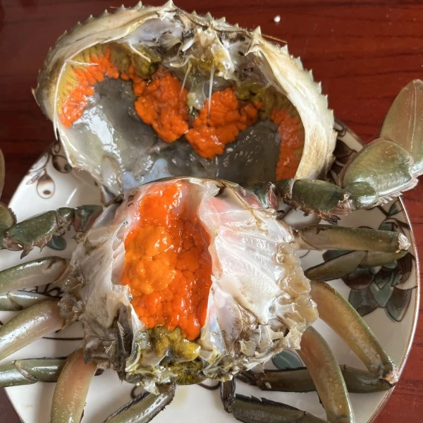 【2只母蟹】红鲟膏蟹包活到家鲜活海捕大肉蟹母蟹海蟹送礼过节