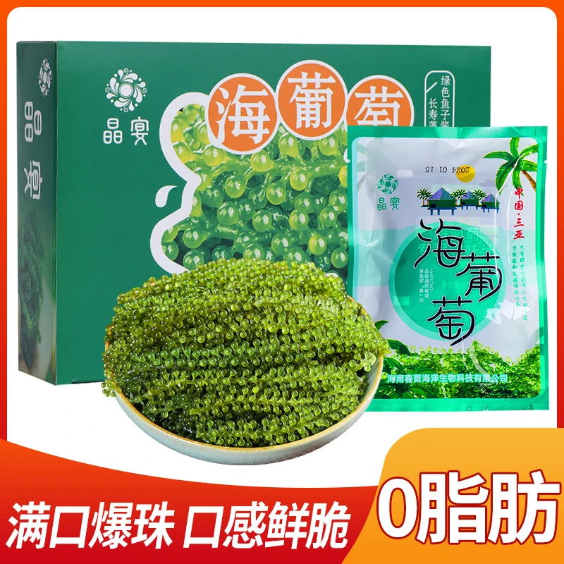 晶宴盐渍海葡萄赠送蘸料泡水即食天然海藻脆爽礼盒装500g
