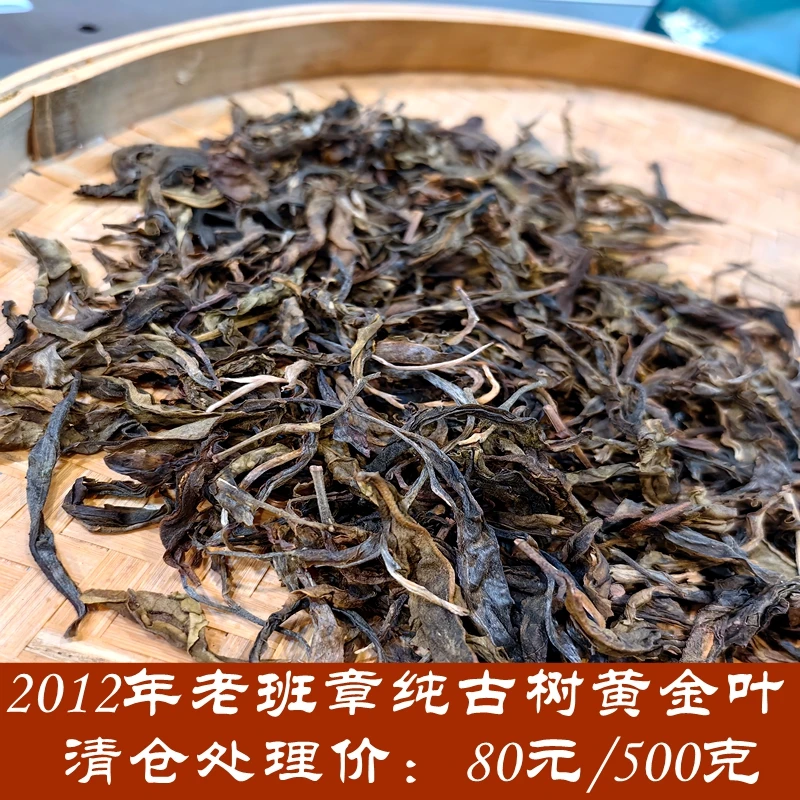 云王博士    2012年老班章纯古树黄金叶      云士茶业