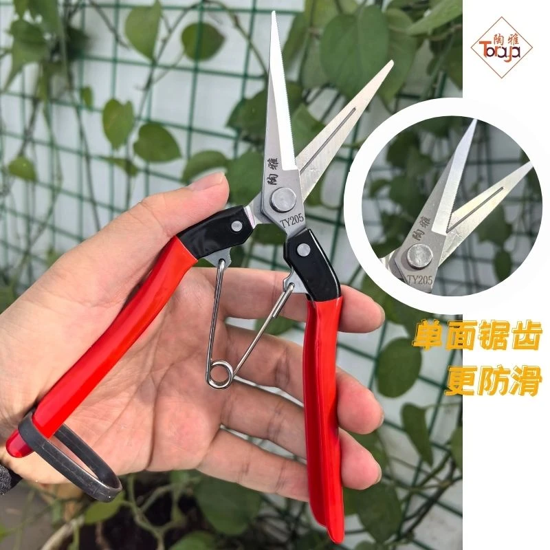 陶雅不锈钢齿刃防滑芽剪采摘修枝葡萄花木TY205摘果盆栽不卡剪