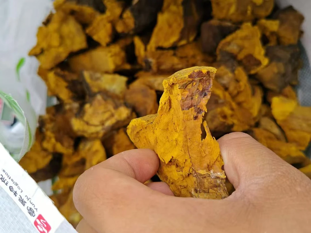 边城土味----桑树黄