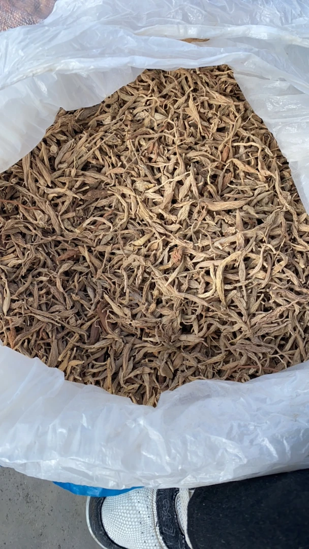 边城土味----马东
