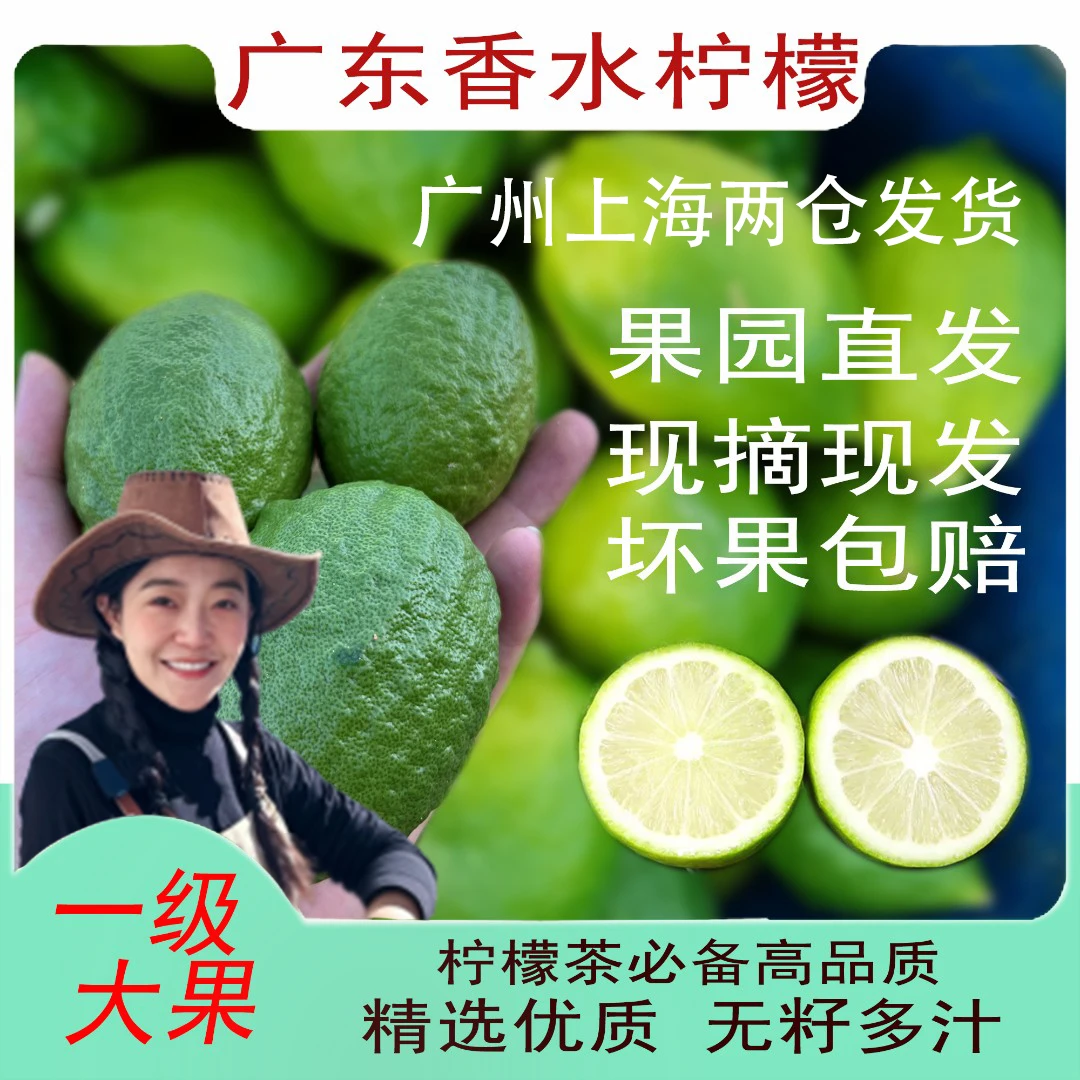 【伊富贵香水柠檬】广东香水柠檬新鲜3斤柠檬果园多汁无籽薄皮大果