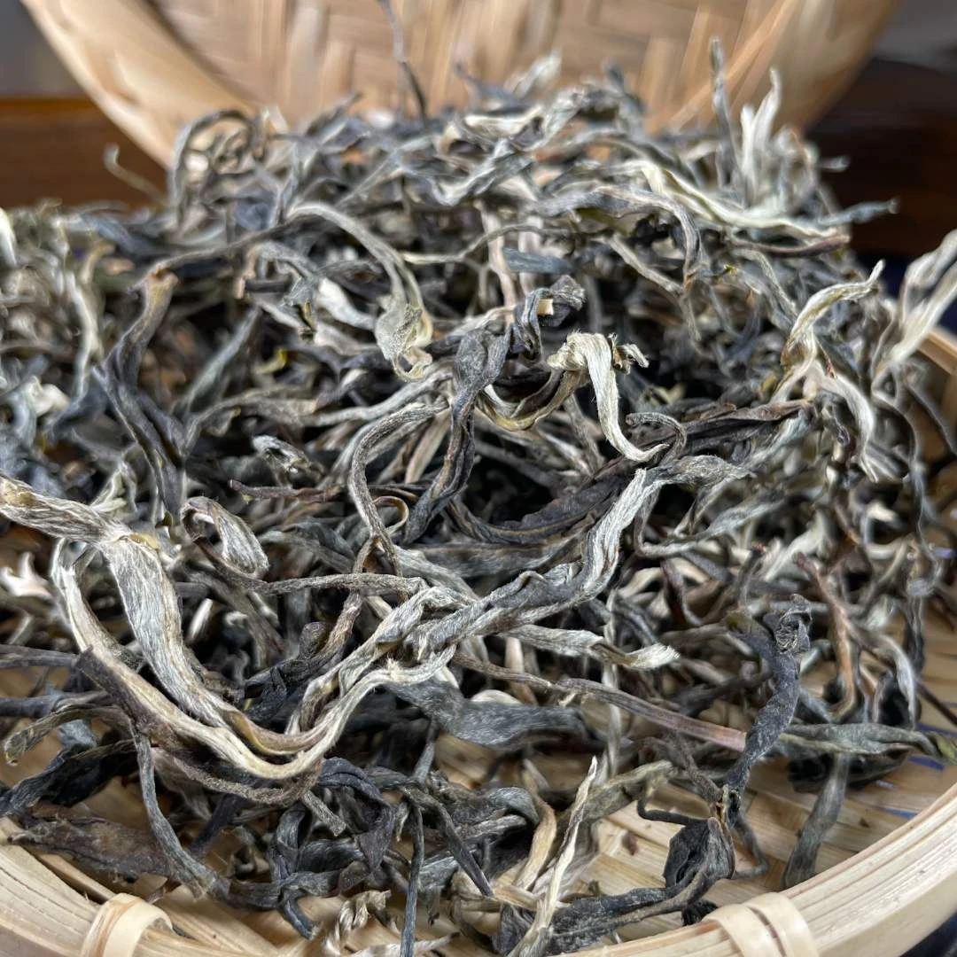 【云洱古茶】小箐田明前古树春茶普洱茶生茶