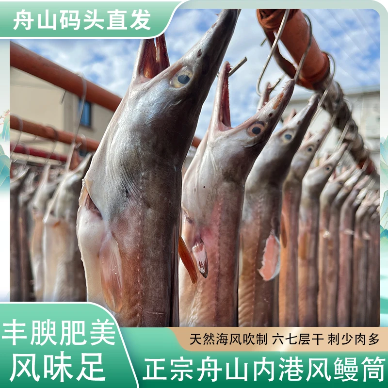 【整条发货】舟山特产鳗鱼干整条淡晒风鳗筒半干鳗鱼鲞风鳗鱼干鳗筒