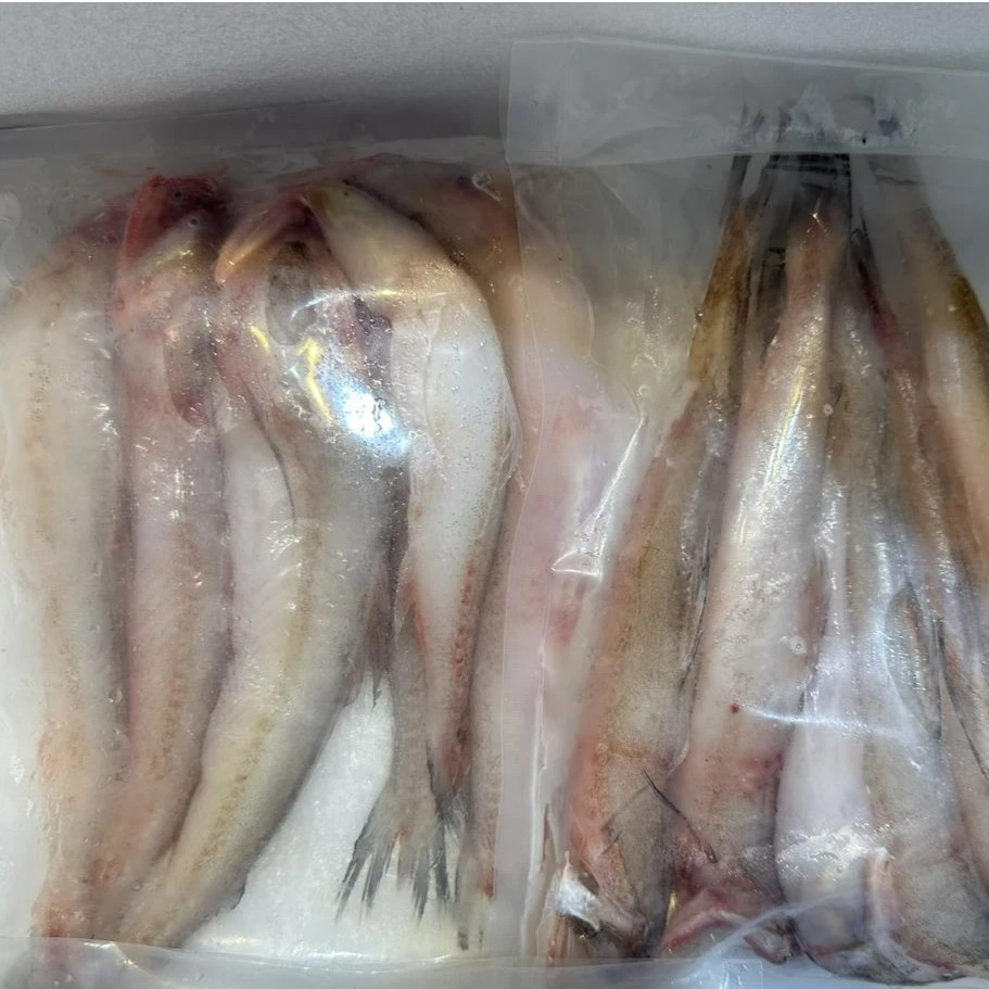 冰哥福利！新鲜豆腐鱼！2斤