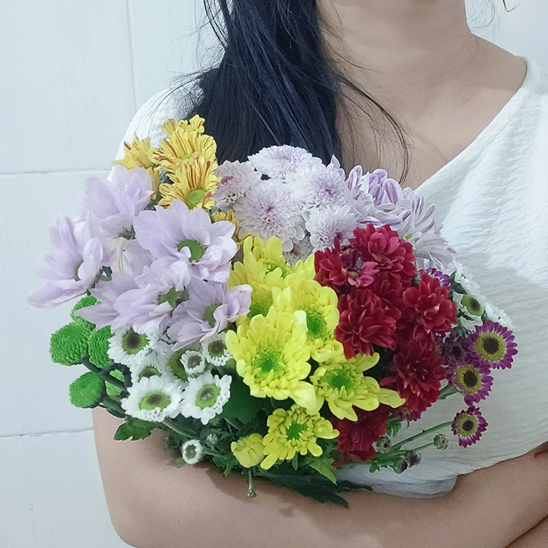 雏菊鲜花新鲜水养鲜切花客厅花束装饰配花插花