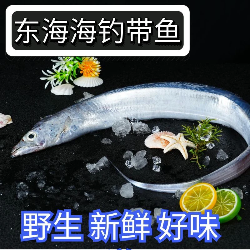 东海海捕野生鲜带鱼