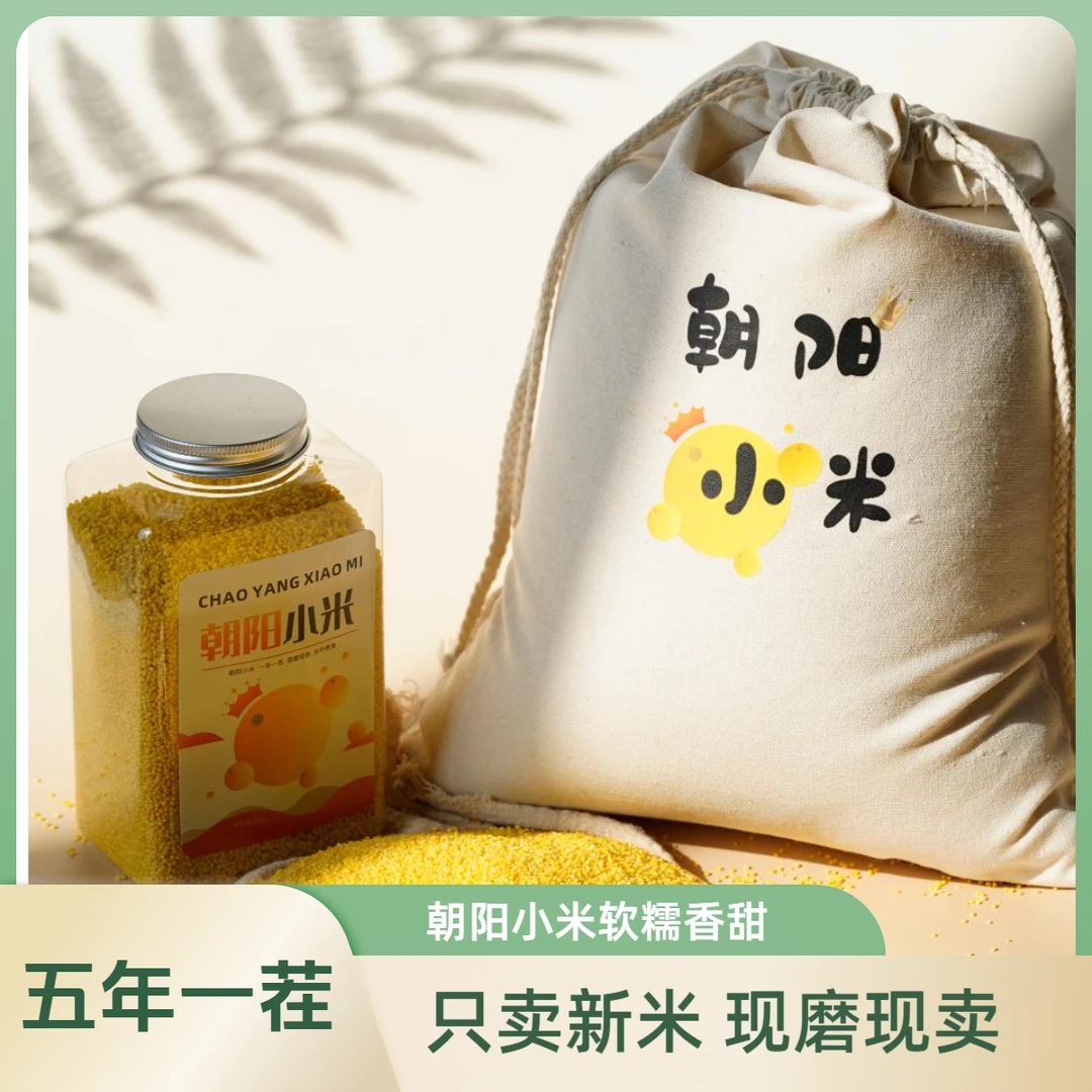 朝阳小米五年一茬现磨现卖软糯香甜凌河湾孕育的精品粮食