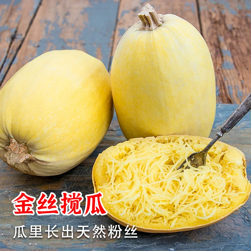 金丝绞瓜种子天然粉丝南瓜种籽凉拌春夏四季阳台金丝搅瓜蔬菜种孑