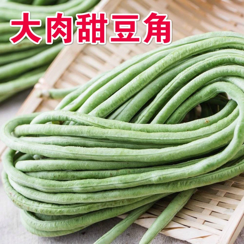 大肉甜豆角种籽高产特长油白豇豆种子春夏季豆角种籽大全蔬菜种孑