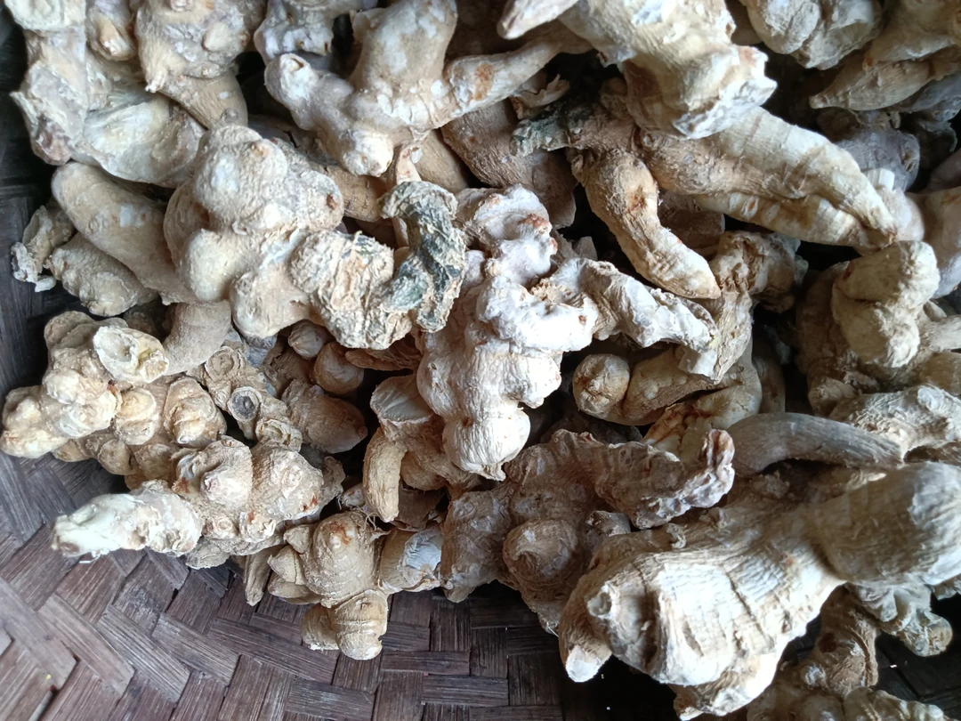 云南土特产，，竹节干货链接