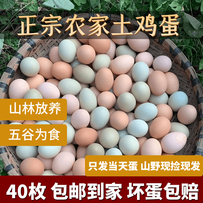 大别山【乡味甄选】散养绿壳粉壳土鸡蛋柴鸡蛋高山农村喂养40枚箱