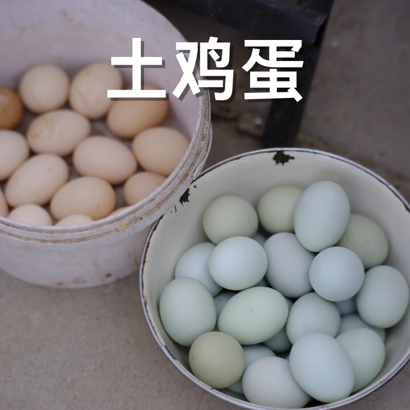 四川巴中土特产农村放养土鸡蛋杂粮喂养