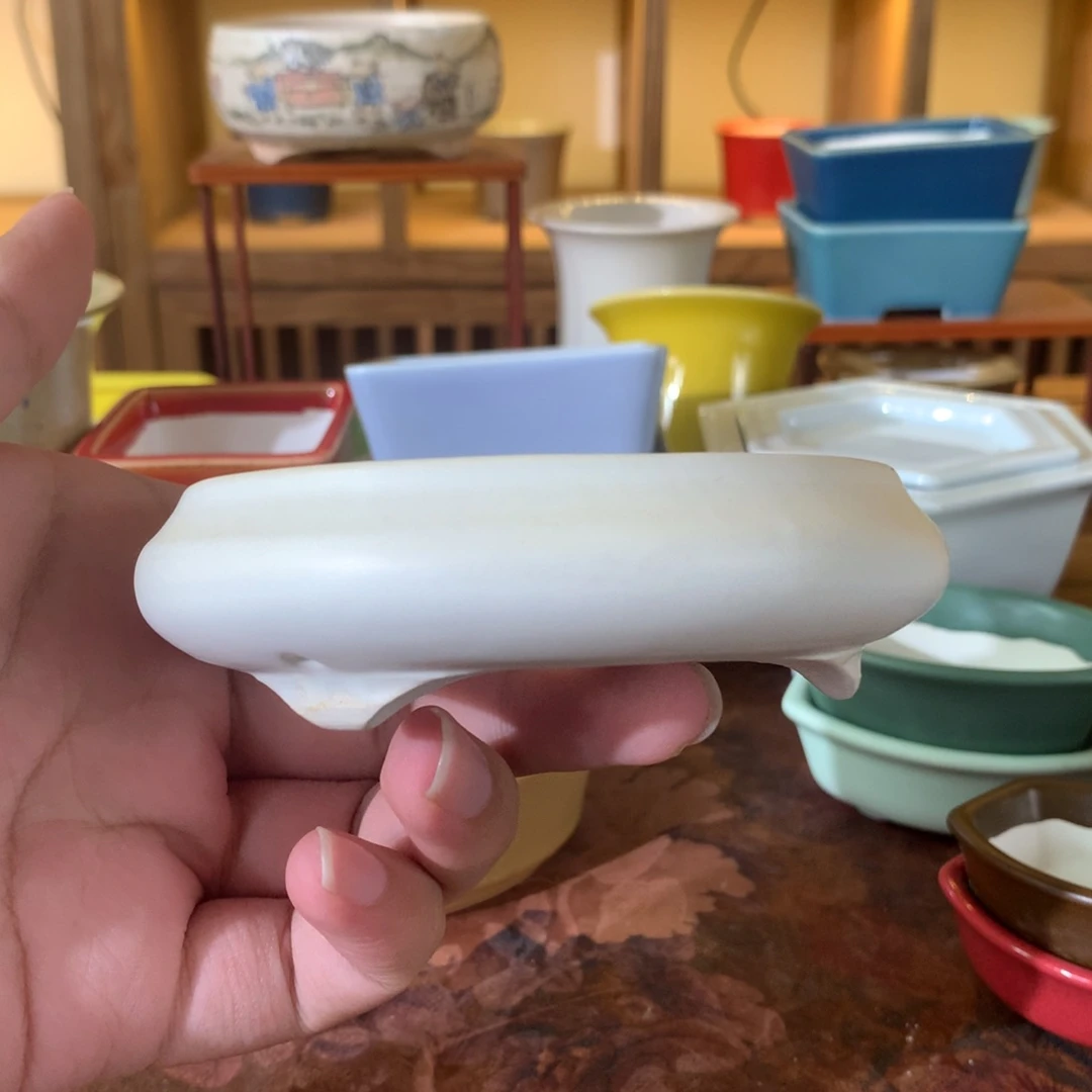 红陶20CM(含)-50CM(不含)陶**学