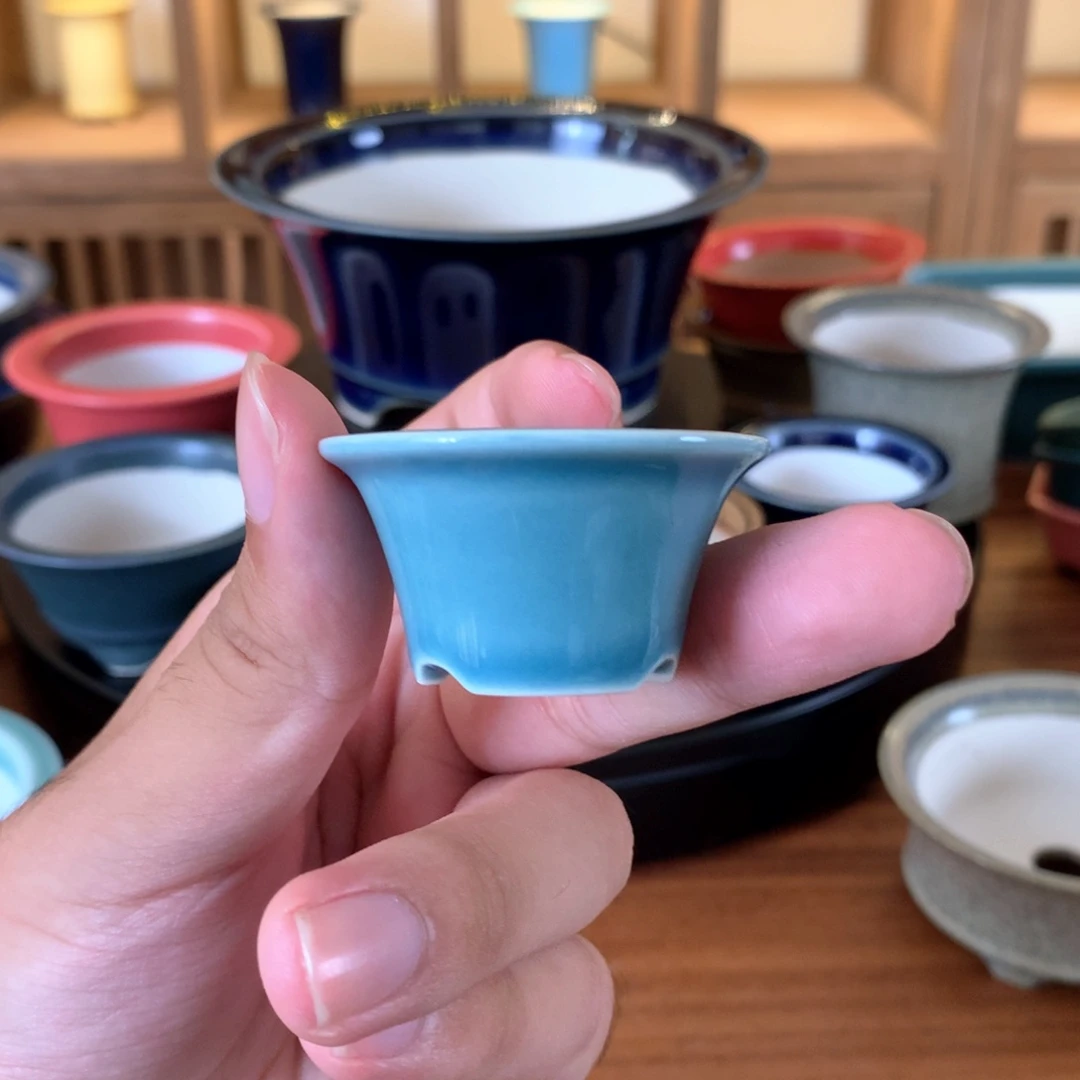 红陶20CM（含）-50CM（不含）