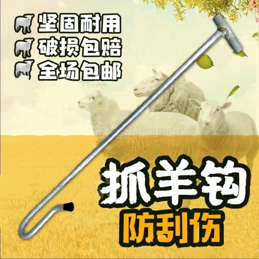 抓羊钩子（不伤羊腿）