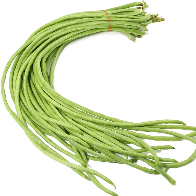 河南农家自种豇豆长豆角新鲜采摘现摘现发
