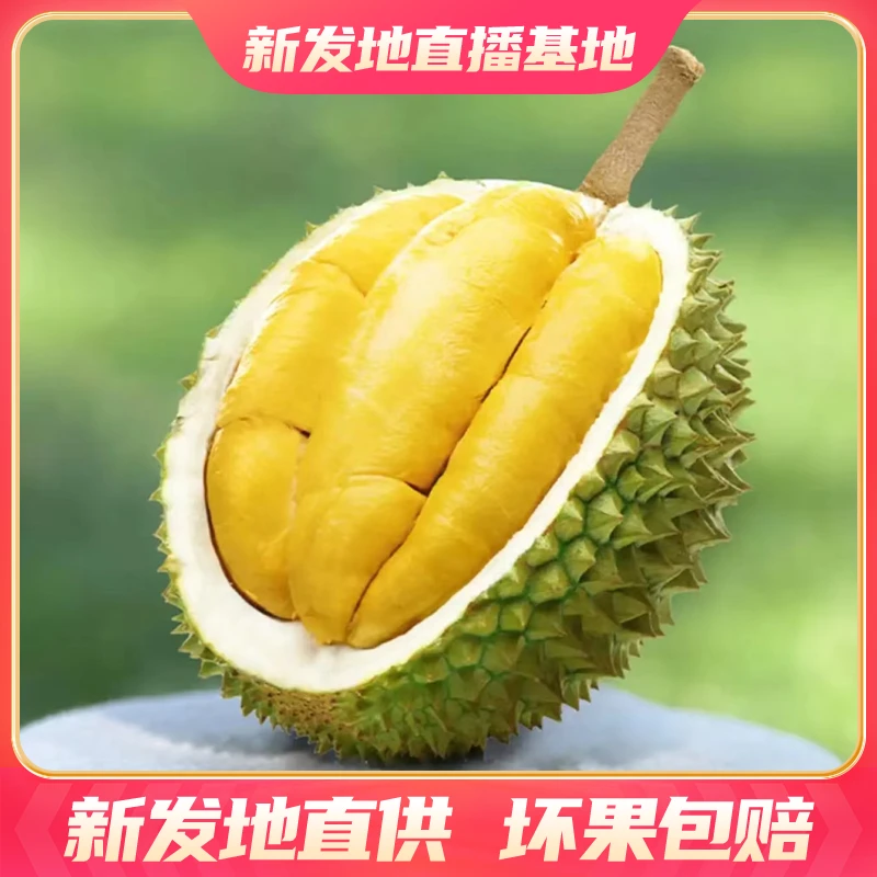 【新发地】精选泰国双A级长柄榴莲【2.5-9.5斤】装 软糯香甜绵密丝滑
