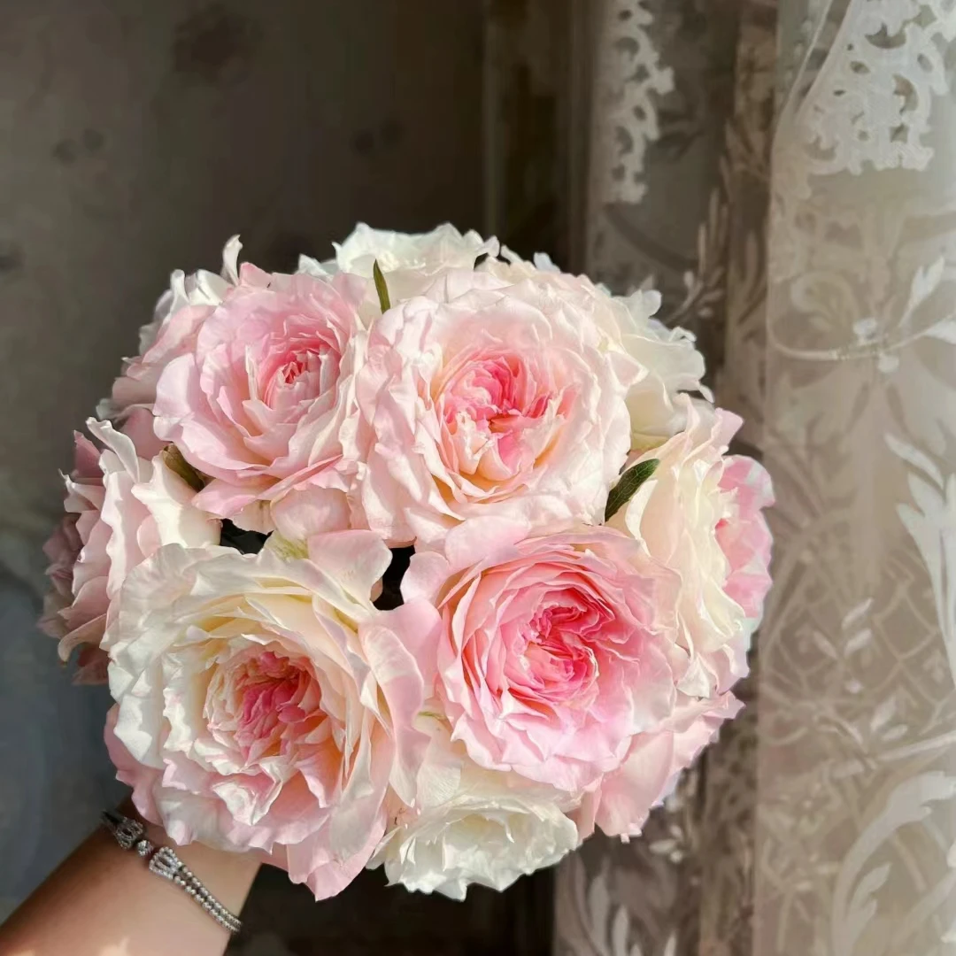 【宏哥月季】法式千层酥 裸根苗  大花丰花 多季开花月季