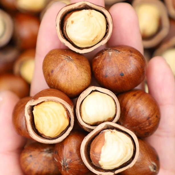 【灵姐专属】东北特产炒熟大榛子2斤/4斤