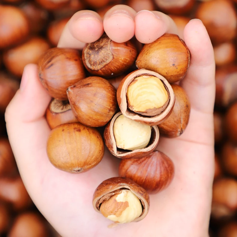 【专属】鼠小于东北大榛子炒熟2斤/4斤