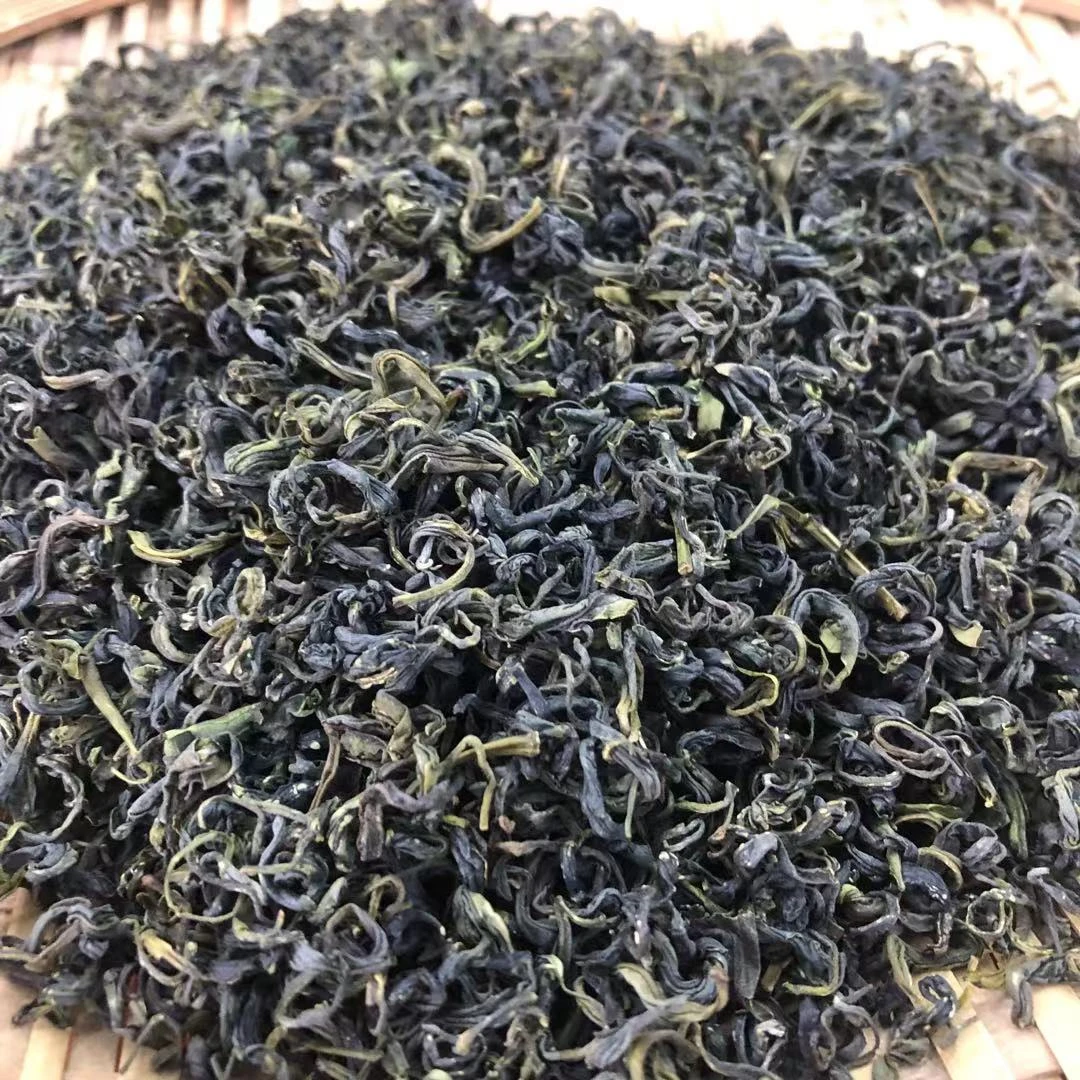 A1-2日照绿茶2023年9月新茶浓香型板栗香通货粗茶口粮茶500克简装