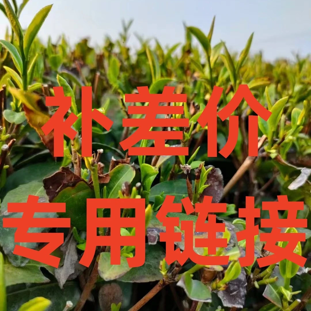 浏茗春日照绿茶补差价专业链接