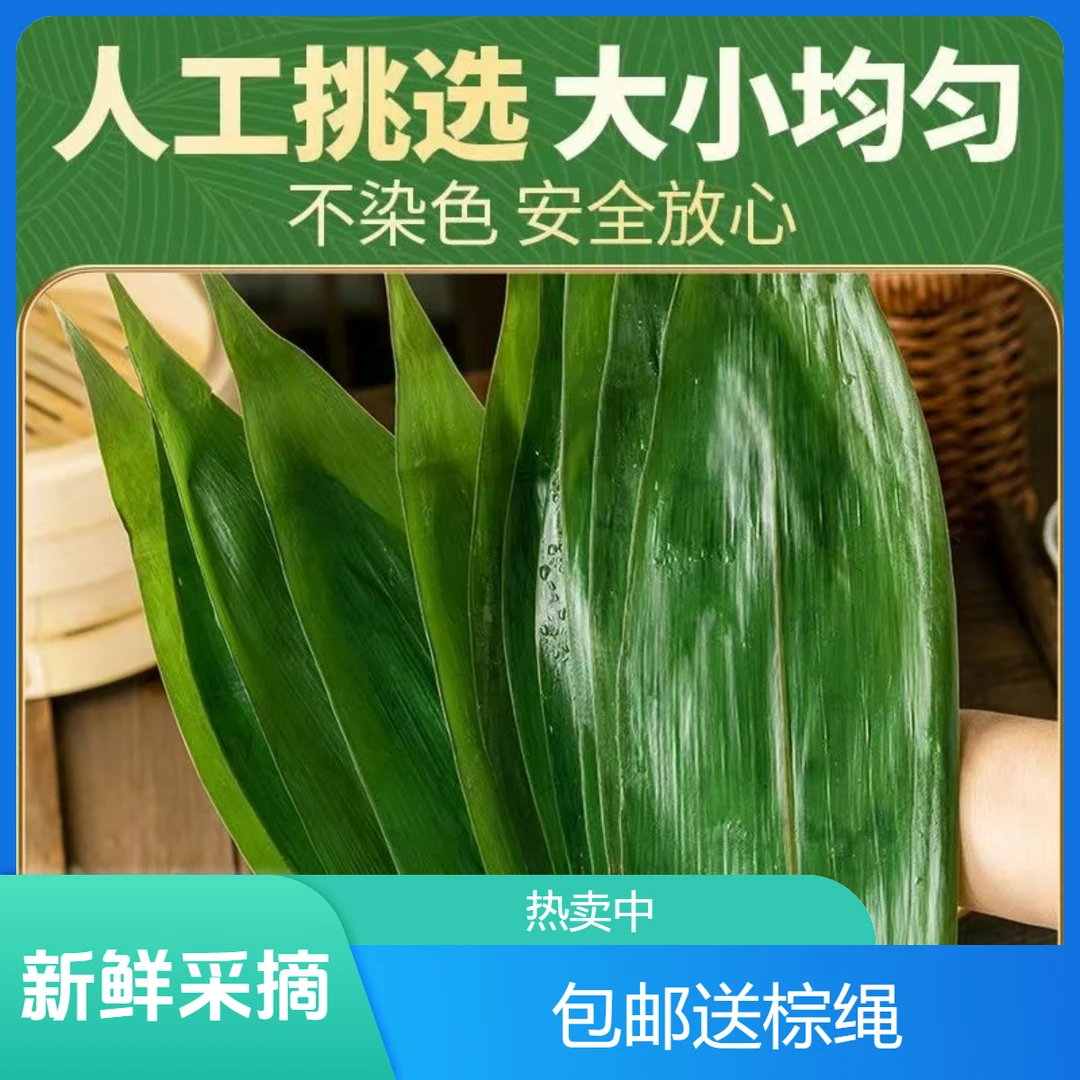 粽叶新鲜真空包装纯野生高山新鲜采摘端午包粽子特大号箬叶送粽绳