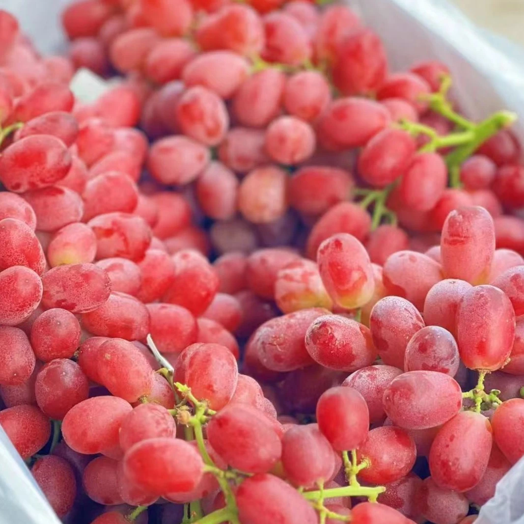 【马一扎水果小时达】无籽提一件10斤