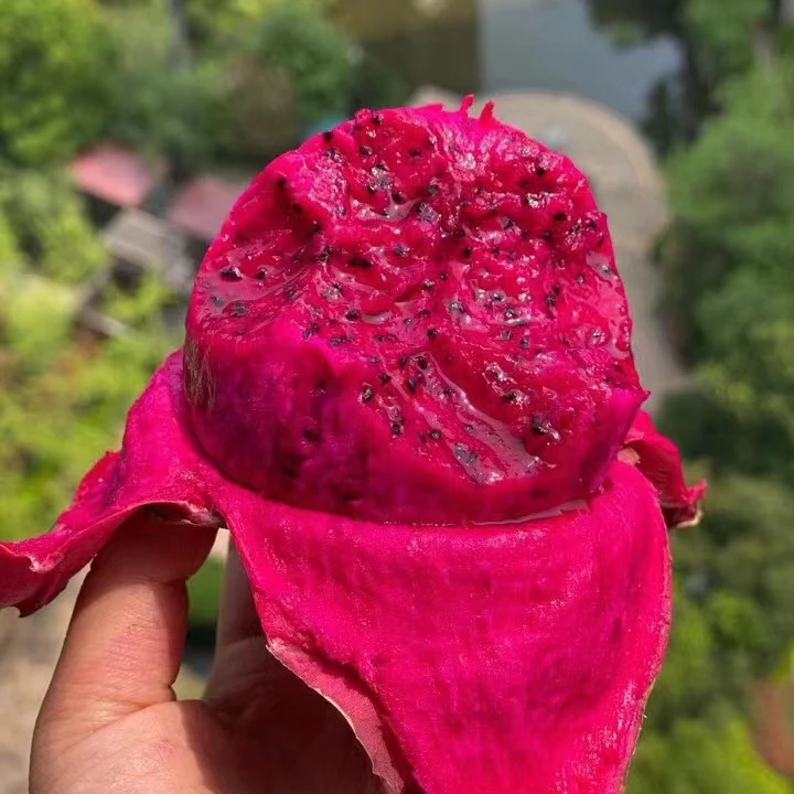 红心火龙果（马一扎水果配送到家）