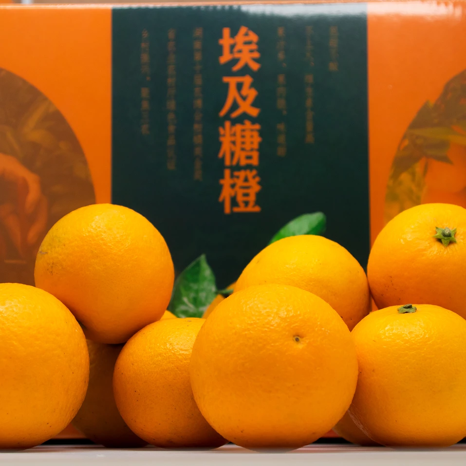 埃及糖橙包甜不酸十斤甄选分享装