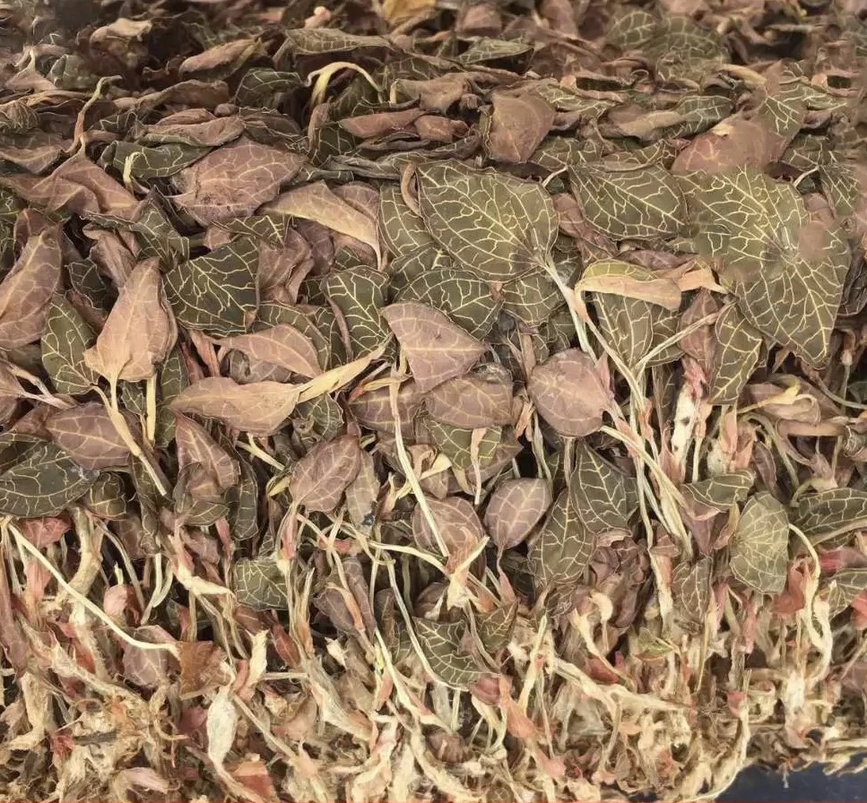 云南特产 正宗 金线莲 煲汤 泡酒 泡水 食用
